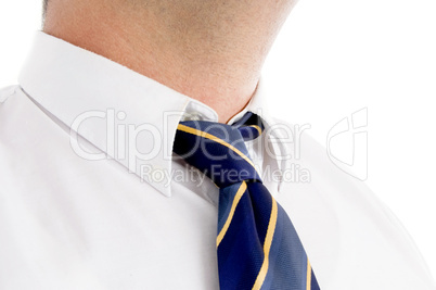 professional man's tie