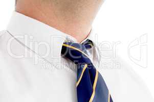 professional man's tie