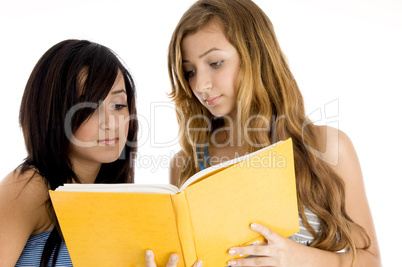 classmate looking in to book