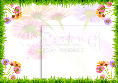 flowers and grass on a white background