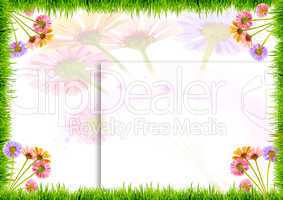 flowers and grass on a white background