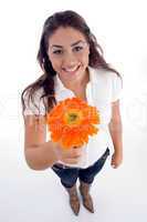 lovely girl showing orange gerbera flower