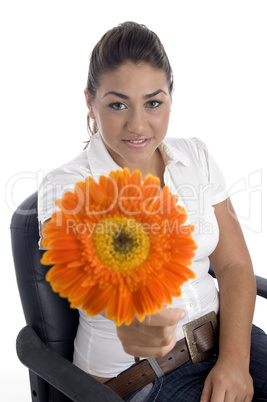 lovely girl showing orange gerbera flower