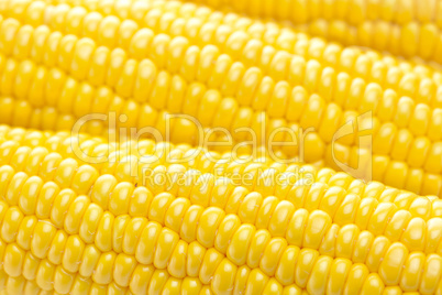 background of ripe yellow corn