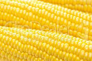 background of ripe yellow corn