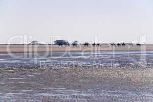 Strand von St. Peter-Ording