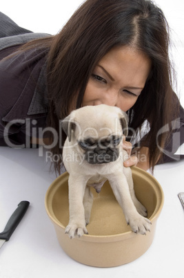 young woman playing with puppy