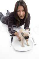 woman putting puppy in plate