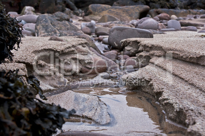 closeup of costal scene