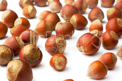 Hazelnuts