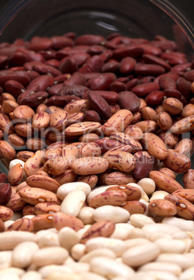 multicolored kidney haricot beans