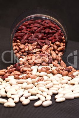 multicolored kidney haricot beans