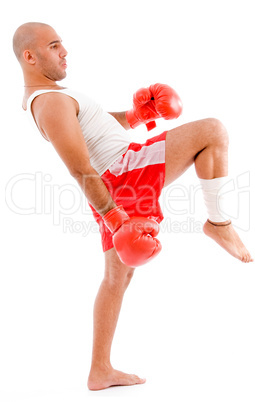 bald boxer in kicking pose