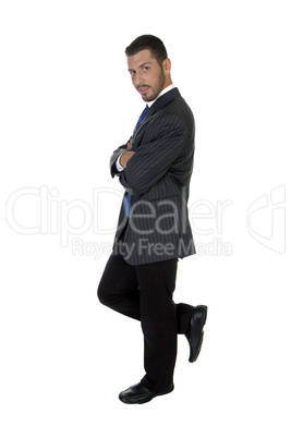 stylish pose of american businessman