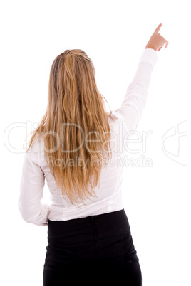 back pose of pointing businesswoman