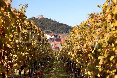 Hambacher Schloss und Weinberge