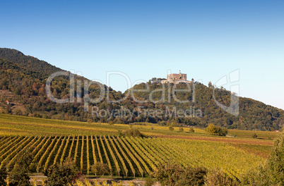 Hambacher Schloss und Weinberge