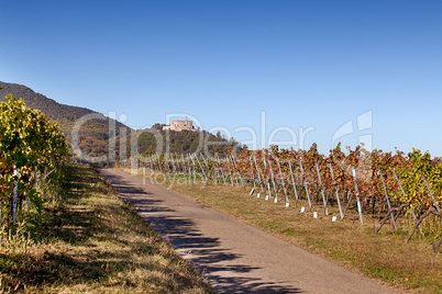 Hambacher Schloss und Weinberge