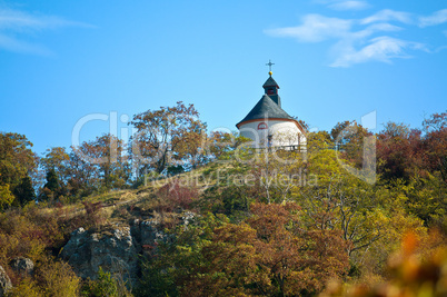 Pfälzer Weinberge