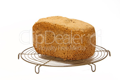 Selbstgebackenes Brot auf Rost
