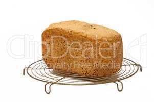 Selbstgebackenes Brot auf Rost