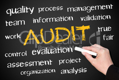 AUDIT - Business Concept