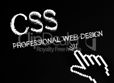 CSS - Professional Web Design