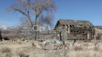 Old abandoned home shack