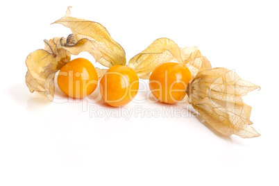 Physalis - Cape  gooseberry