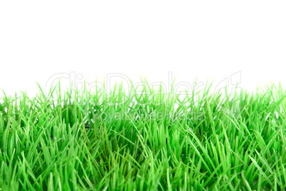 green grass