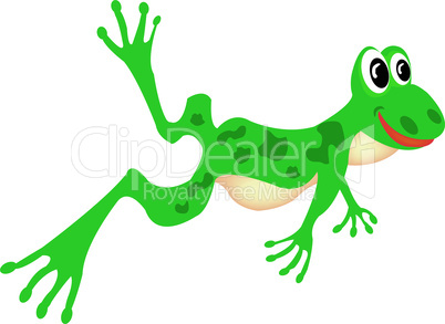 Drawing of the green frog on white