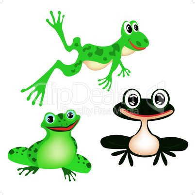 Illustration green frog on white