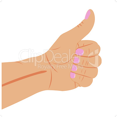 Illustration of the hand with gesture.eps