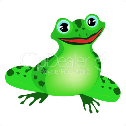 Green frog on white background