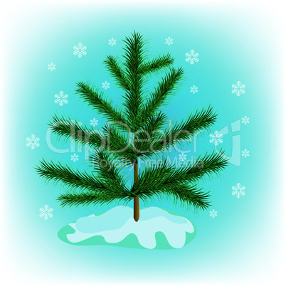 winter fir tree.eps