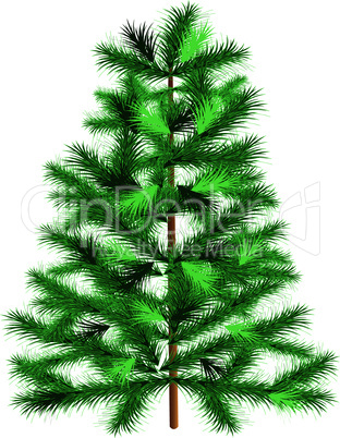 Evergreen tree fir tree.eps