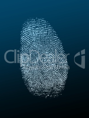 Finger Print