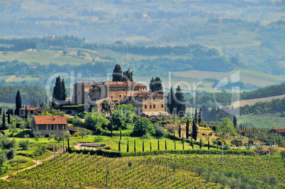 Toskana Weingut - Tuscany vineyard 04
