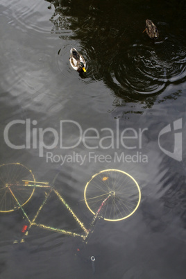 Weggeworfenes Fahrrad in einem Teich