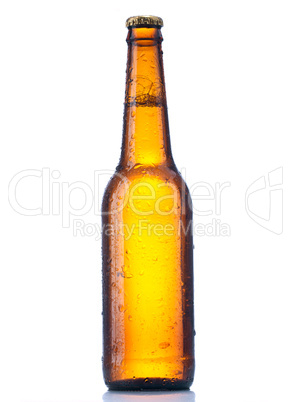 bottle beer