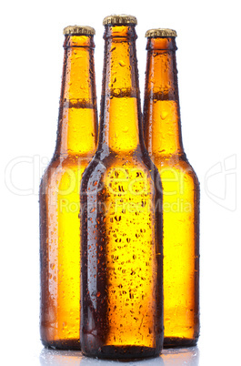 bottle beer isolated