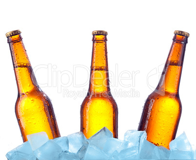 bottle beer in ice