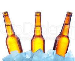bottle beer in ice