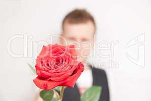 rote Rose und Mann unscharf im Hintergrund