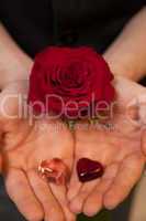 Hände schützen Herz und rote Rose