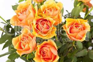 Wunderschöner Strauß Rosen