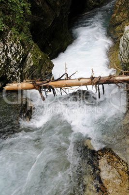 Vintgar-Schlucht, Slowenien