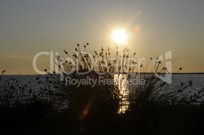 Sonnenuntergang am Meer