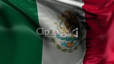 Flag of Mexico_HD Loop 121