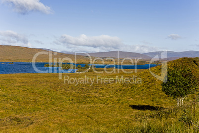 rural landscape in scotland